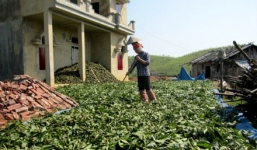 Cảnh giác thương lái Trung Quốc