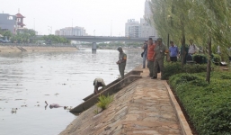 Phát hiện xác người đang phân hủy nổi trên kênh