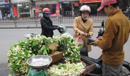 Lạ lùng người Hà Nội chơi hoa bưởi cả cân