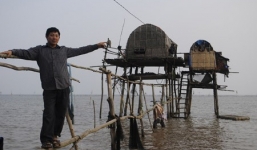 Bí quyết thu tiền tỷ của 'vua' ngao Sơn Hải