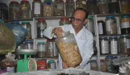 Bài thuốc chữa bệnh dạ dày và đại tràng của lương y đánh giặc giỏi chữa bệnh hay