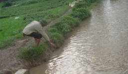 Hà Nội: Phát hiện 2 thi thể trẻ sơ sinh thả trôi sông