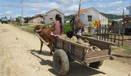 Bé gái 15 tuổi sinh đôi sau nhiều lần bị lạm dụng