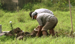 Mẹ nhẫn tâm vứt hai con sơ sinh xuống mương nước?