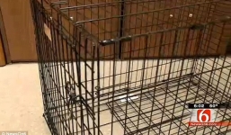Bố mẹ nhốt con trai 4 tuổi trong cũi chó suốt 3 tuần