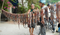 Chợ côn trùng độc nơi biên giới