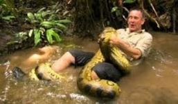 Một mình chiến đấu với trăn khổng lồ rừng Amazon