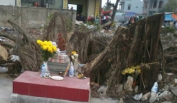 Giải mã 3 cây đa 'ma ám' và tai nạn hy hữu bắn lên cành cây vẫn thoát chết