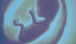 Bí ẩn: Thai nhi khóc trong bụng mẹ