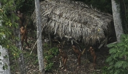 Cận cảnh bộ lạc bí ẩn sống biệt lập trong rừng Amazon