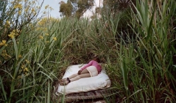 Choáng với ổ mại dâm trong rừng