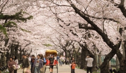 Tâm sự của một cô gái trước khi lên đường du học