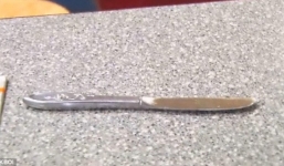 Nữ hầu bàn hung hăng đánh người rồi vung dao thách thức cảnh sát