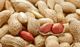 Những người tuyệt đối không nên ăn lạc