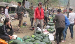 Thực hư chuyện 'hôi dưa' ở cửa khẩu Tân Thanh