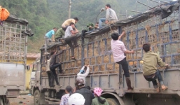 Cò mồi, xin đểu, mót dưa ở cửa khẩu Tân Thanh