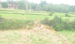 Nóng từ địa phương ngày 2/4: Vĩnh Phúc - Nghi án bé gái 3 tháng tuổi bị mẹ ném xuống giếng