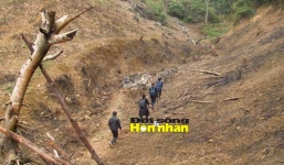 'Ma rừng' và những bí ẩn sau khu rừng âm u