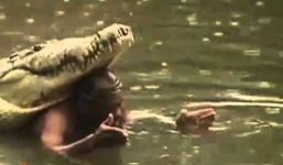Lạnh gáy xem người tắm chung với cá sấu khổng lồ