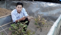 Từ chàng trai nghèo bỏ học thành ông chủ kiếm 500 triệu/năm