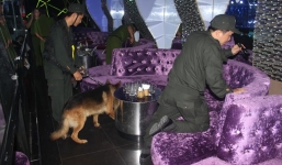 Chó 'thám tử' Sài Gòn đi vũ trường truy tìm thuốc lắc 