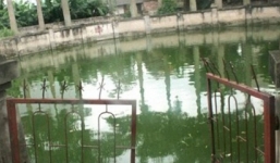 Lời giải những căn bệnh lạ do “mạo phạm” giếng thiêng