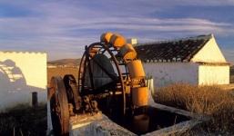 Ngã xuống giếng vì 'mây mưa' cuồng nhiệt