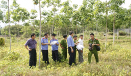 Rủ thiếu nữ 17 tuổi ra vườn để chụp ảnh rồi hiếp dâm