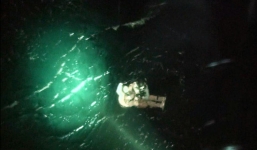 Hàn Quốc cứu 3 thủy thủ Triều Tiên, 2 người chết, 11 người mất tích