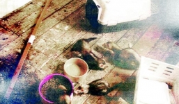 Mẹ nhẫn tâm vứt bỏ con trai 4 tuổi trong nhà hoang cùng 14 con chó chết