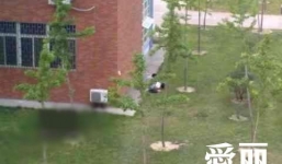 Học sinh lớp 9 làm 'chuyện người lớn' ngay trong sân trường