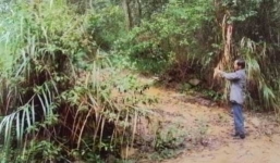 Bắn chết tình địch, vứt xác xuống suối phi tang