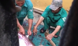 Lộ clip bảo vệ, nhân viên xẻ thịt nai ngay vườn thú