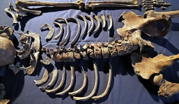 Hé lộ bí mật đáng sợ của 25 bộ hài cốt dưới lòng thành phố London