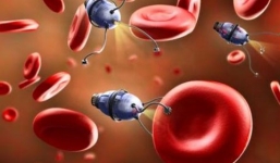 Siêu vi khuẩn giúp điều trị ung thư không cần phẫu thuật