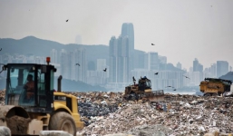 Bức tranh quý 3,7 triệu USD bị 'ném' ra bãi rác