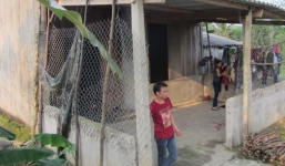 Ám ảnh kinh hoàng của một phu vàng