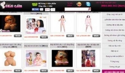 Đường dây buôn bán 'búp bê tình dục' ở Hà thành