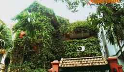 Clip: Loạt biệt thự phủ kín dây leo kỳ bí ở Hà Nội