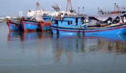 Tàu câu mực trúng đậm 2,4 tỷ đồng/chuyến ra khơi