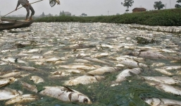 Cuộc mưu sinh trên dòng sông bẩn nhất thế giới