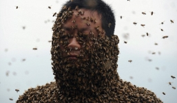 Dị nhân Trung Quốc để 45kg ong bâu kín người