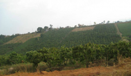 Nữ sát thủ trở về minh oan cho 'ma nữ' thác Đambri