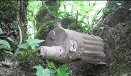 Rừng Nga “nuốt chửng” vũ khí Thế chiến II