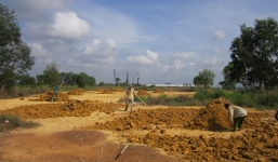 Số phận ly kỳ của những người trộm xác Năm Cam