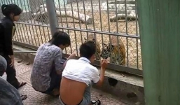 Bốn kiểu chơi ngông 'rùng rợn' của giới trẻ Hà thành