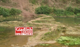 Bí ẩn dòng họ nuôi “rồng” 