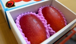 Hình phạt có một không hai cho kẻ chuyên bắt nạt hàng xóm