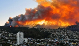 Chile: Cháy rừng khủng khiếp, 1000 ngôi nhà bị 'nuốt gọn'