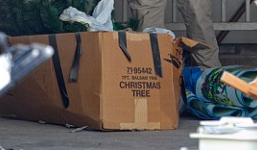 Mẹ giết 7 con sơ sinh, giấu xác trong nhà để xe